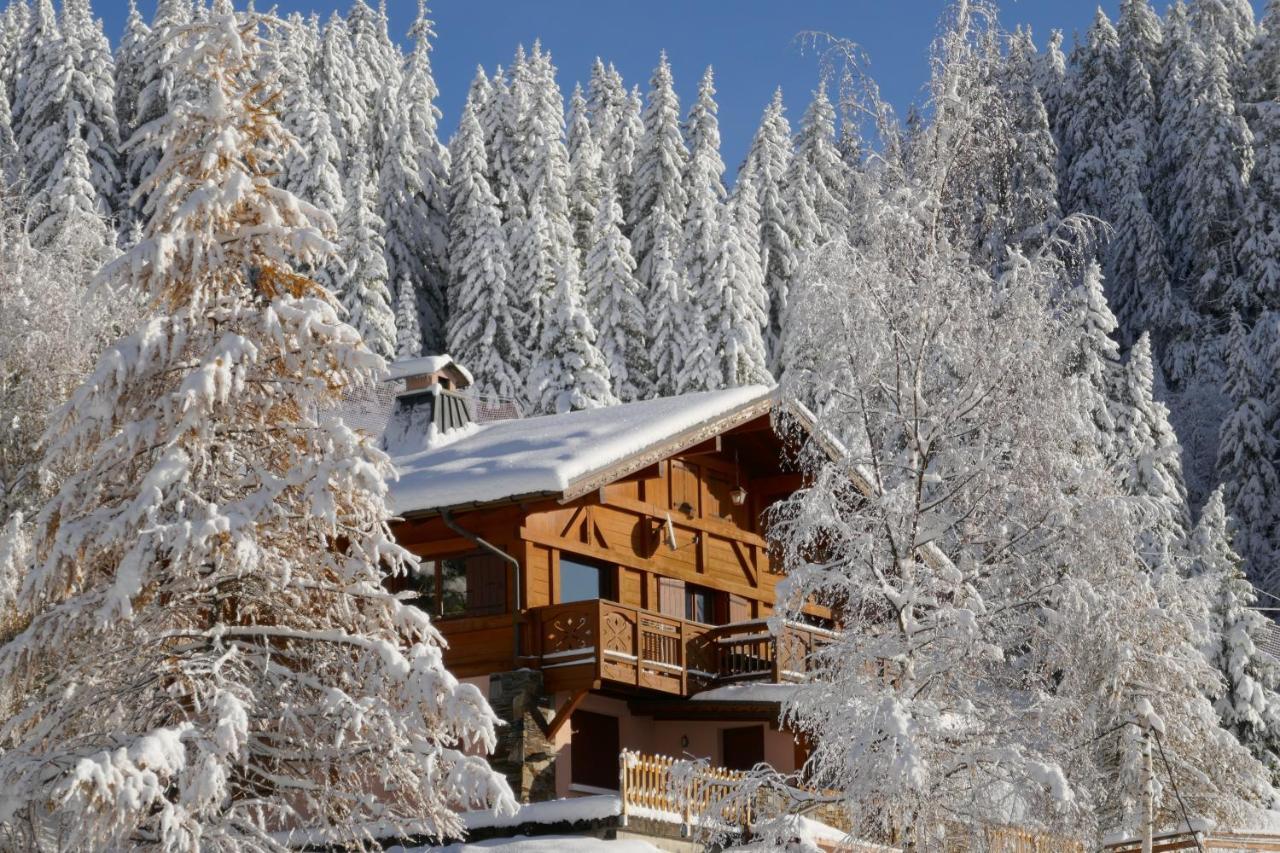 Les Saisies Cote Legette Appartement Dans Chalet Le Nepal Exteriér fotografie